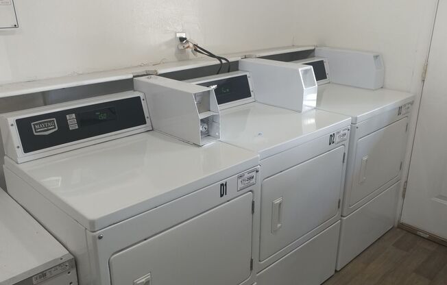 1 bed, 1 bath, 500 sqft, $735, Unit Unit 29