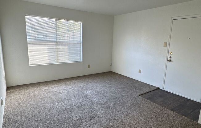 1 bed, 1 bath, 583 sqft, $810, Unit 0308