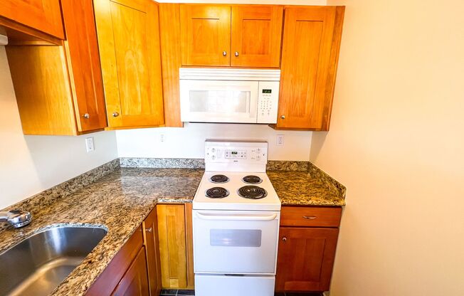 Studio, 1 bath, 454 sqft, $1,545, Unit 108
