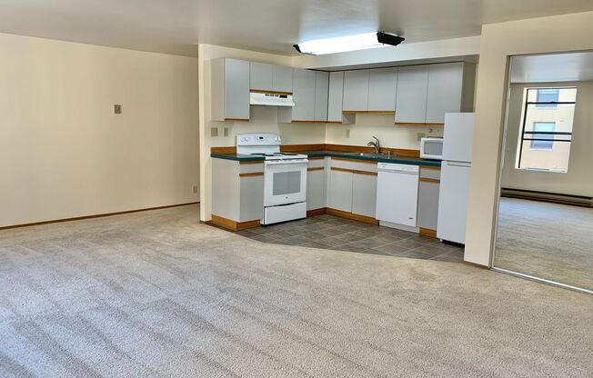 Studio, 1 bath, 460 sqft, $1,295, Unit 305