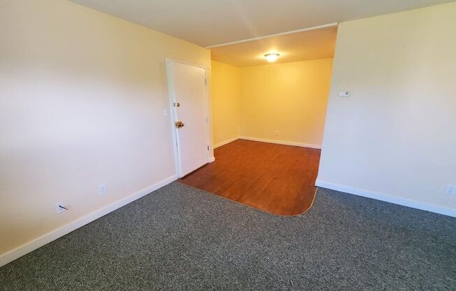 1 bed, 1 bath, 725 sqft, $625