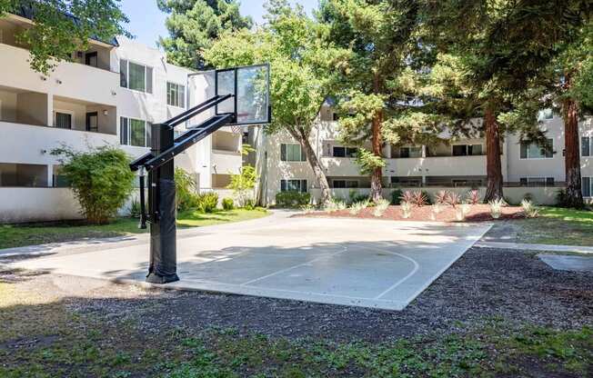 Studio Apartments in Fremont, CA - Northgate Savoy - Outdoor Basketball Half-Court Surrounded by Landscaping, Large Trees, and Apartment Buildings.