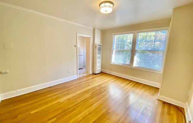 Studio, 1 bath, 365 sqft, $1,195, Unit 306