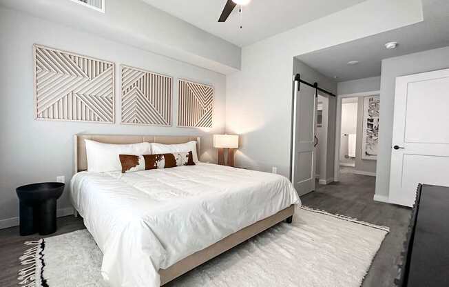 Main bedroom, closet and bathroom entrance in model