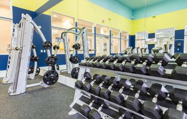 Fitness Center at The Preserve at Tampa Palms Apartments in Tampa, FL