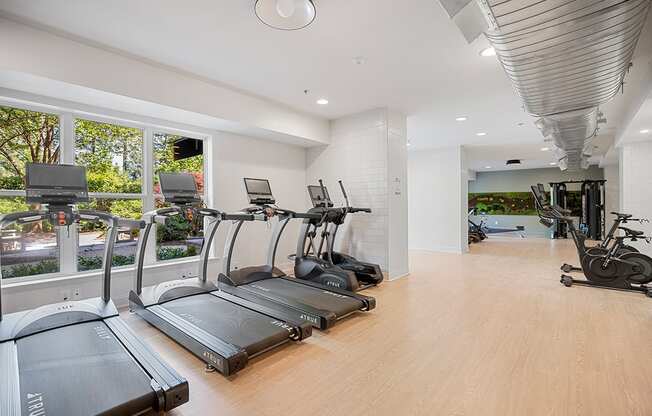 A gym with treadmills and elliptical machines.