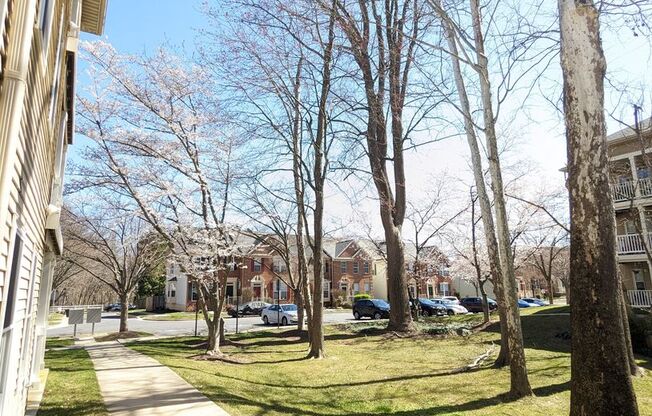 Beautifully maintained ground level condo in Germantown ready by mid April!