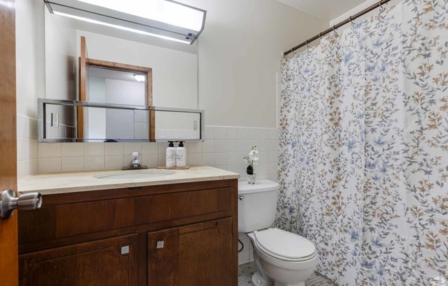 a bathroom with a shower curtain and a toilet and a sink