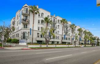 a white building with palm trees in front of an empty street