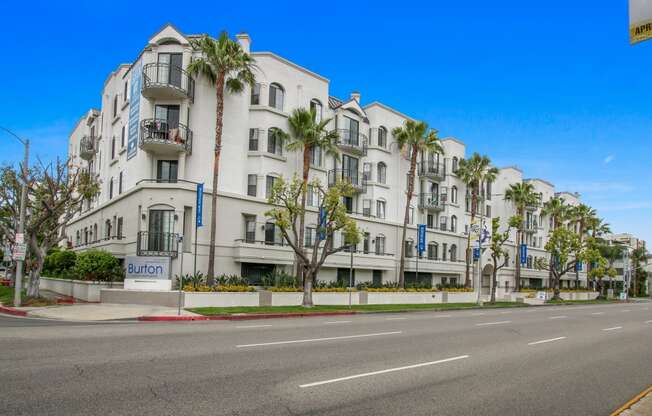 a white building with palm trees in front of an empty street