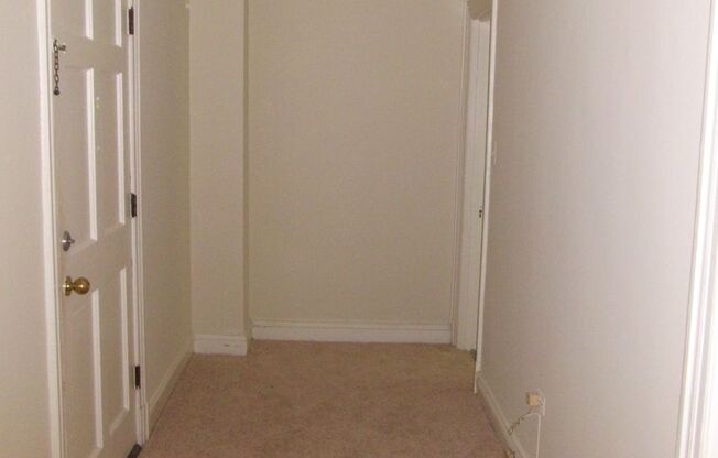 Zoo-licious Spacious Studio Apt across from the Zoo in Cleveland Park!