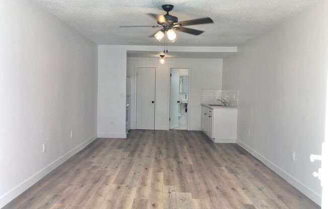 Studio, 1 bath, 328 sqft, $1,525, Unit Unit #1