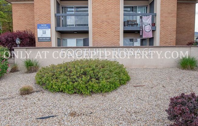 2 beds, 1 bath, 970 sqft, $1,299, Unit 31 PR