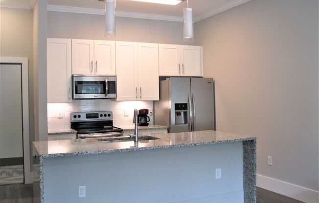 1 BR 1 BA Apartment