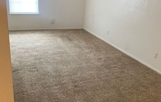 Studio, 1 bath, 550 sqft, $749