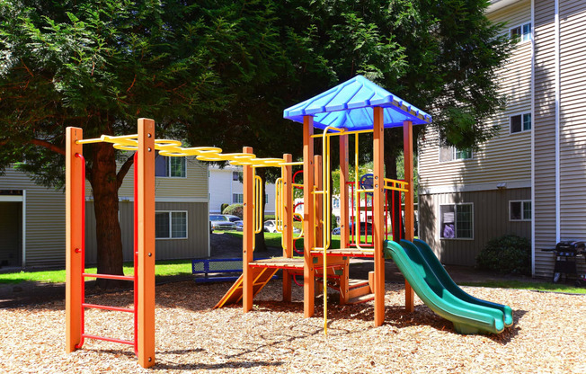 Riverwood Second Play Structure