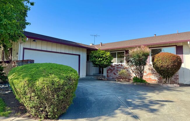 COMING SOON! $3,790 / 3 BR - 1528 S.F. VERY NICE BROOKVALE HOME IN FREMONT