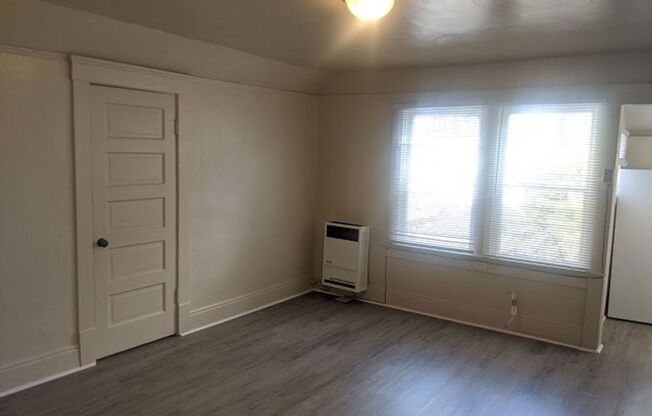 Studio, 1 bath, 330 sqft, $1,450, Unit #3