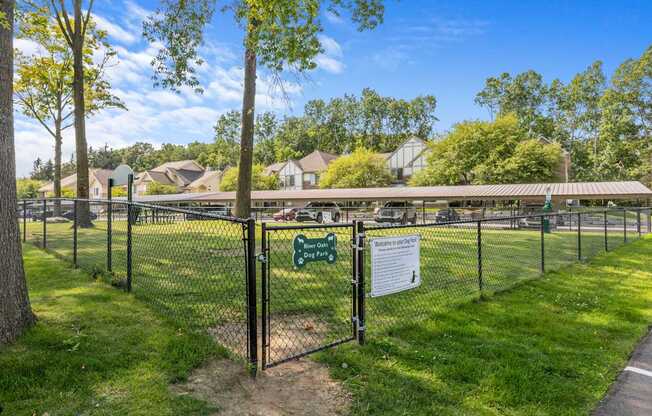 Our Fenced Dog/Pet Park