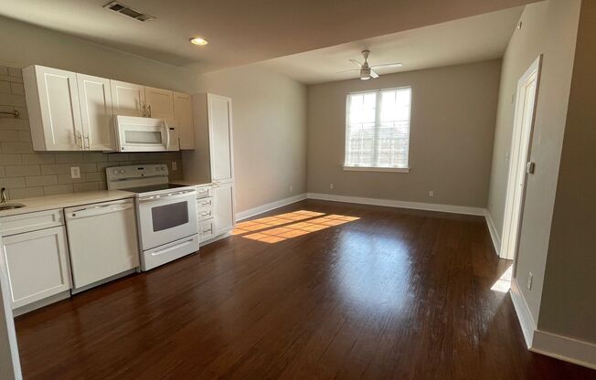 1 bed, 1 bath, 620 sqft, $985, Unit 203