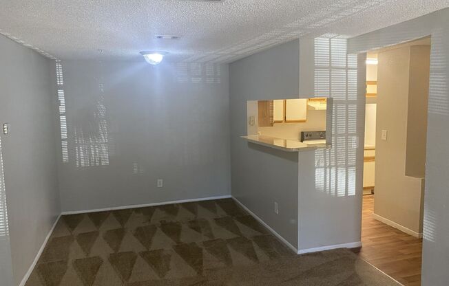 Large 2 bedroom 2 bath Condo with Fireplace