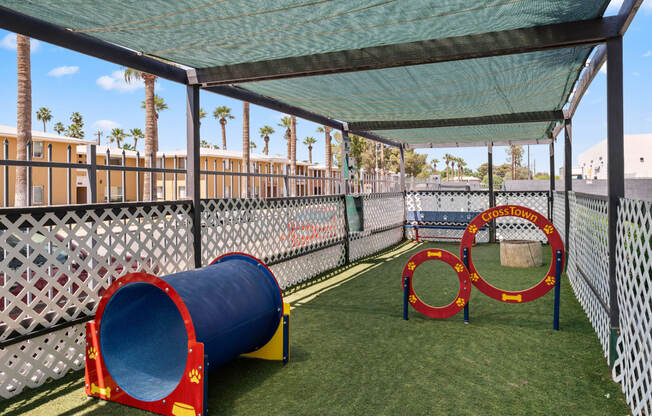 Pet-Friendly Apartments In Phoenix, AZ - Crosstown Phoenix - Gated Dog Park With Grass, A Bench, And Agility Toys.