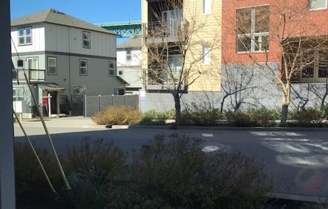 1 bed, 1 bath, 516 sqft, $1,215, Unit 3-114