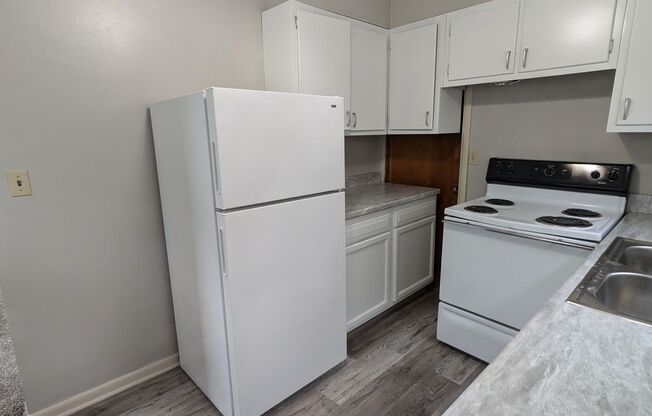 1 bed, 1 bath, $750, Unit 1