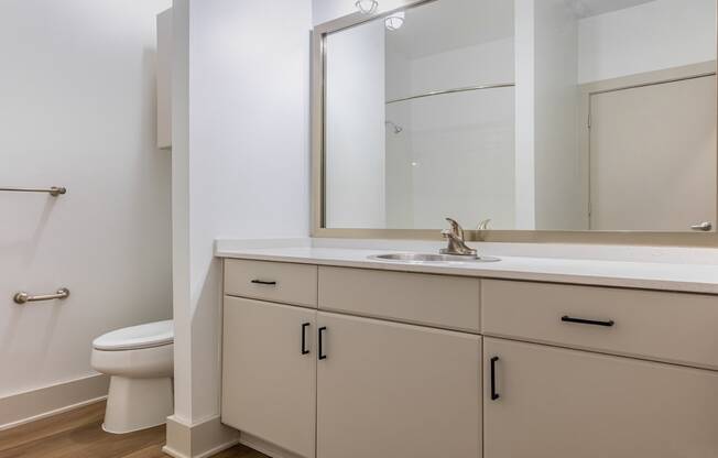 A bathroom with a white toilet and a sink with a mirror above it.