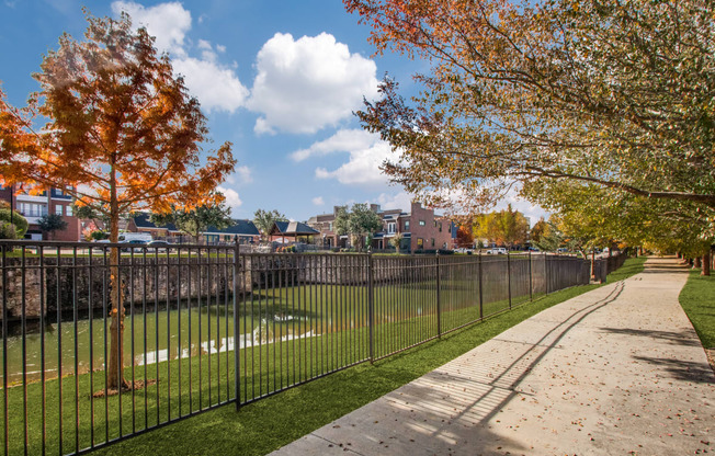 Dog Park