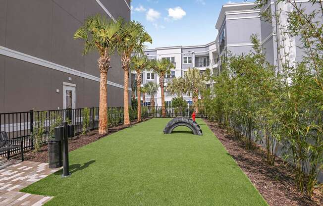 Pet Park at The Foundry Luxury Apartments in Tampa FL