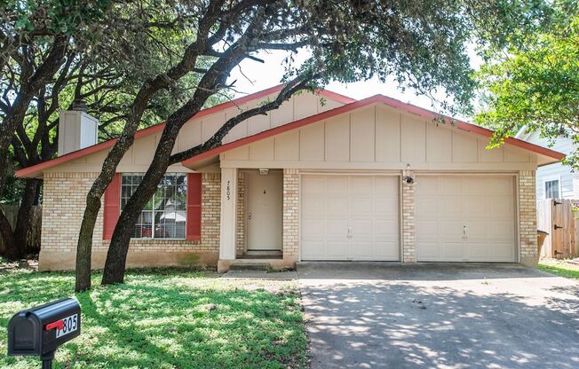 South Austin Single Story Home - Move In Ready!