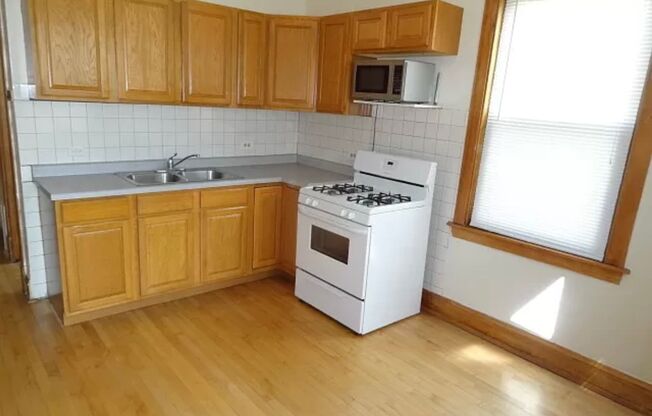 Portage Park apartment! 2 Bedroom with large yard!
