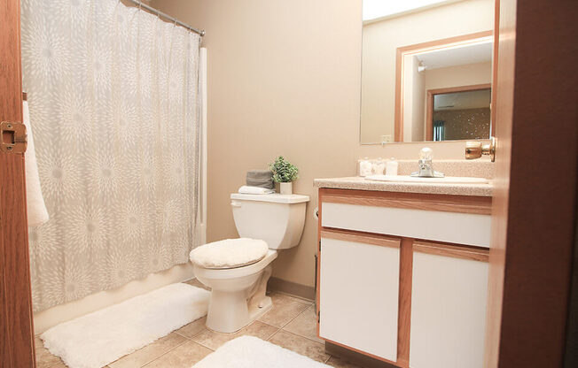 a bathroom with a shower toilet and sink