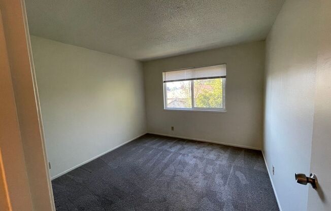 2 beds, 1 bath, $2,300