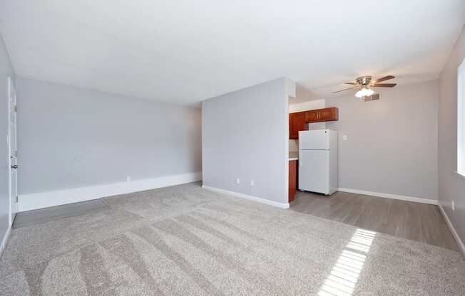 The Canopy | Living Room