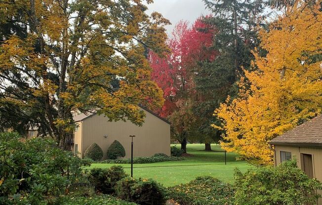 1 bed, 1 bath, 700 sqft, $1,475, Unit 0019