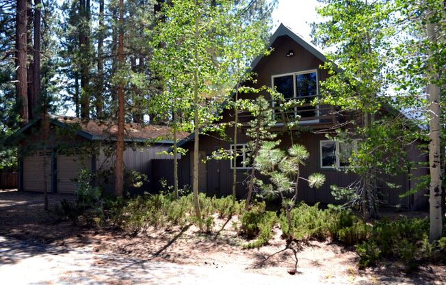 Warm & Inviting Cabin on the Meadow Avail. rental for 6-7 people Avail from now - 6/30/24!!