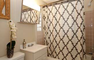 Bathroom with brown and white shower curtain