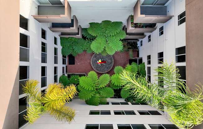 Peach Tree Court Apartments