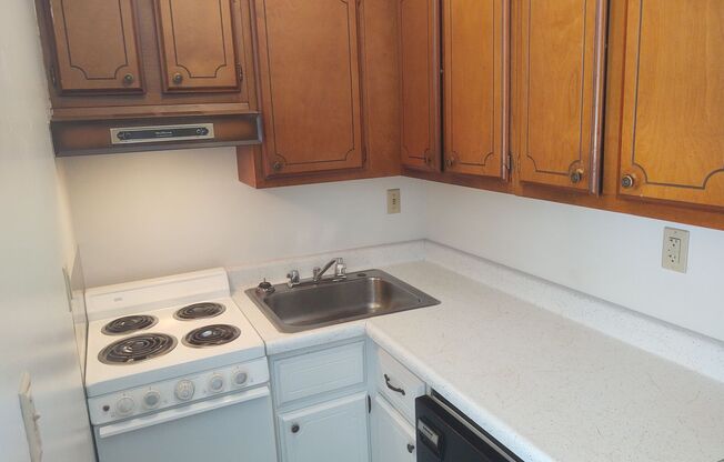 Studio, 1 bath, 305 sqft, $550, Unit Apt 214