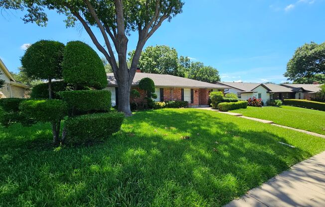 Absolutely Amazing property