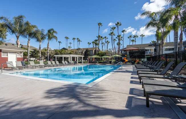 the swimming pool at the resort at longboat key club