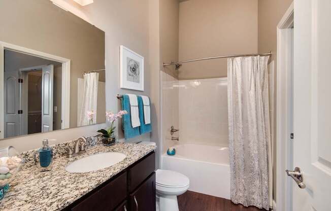 A bathroom with a white toilet, a sink with a marble countertop, a bathtub with a shower curtain, and a mirror above the sink.