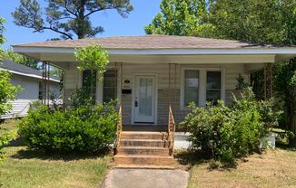 DOWNTOWN WILMINGTON - 2 Bedroom - Bungalow near Castle Street Arts Districit!