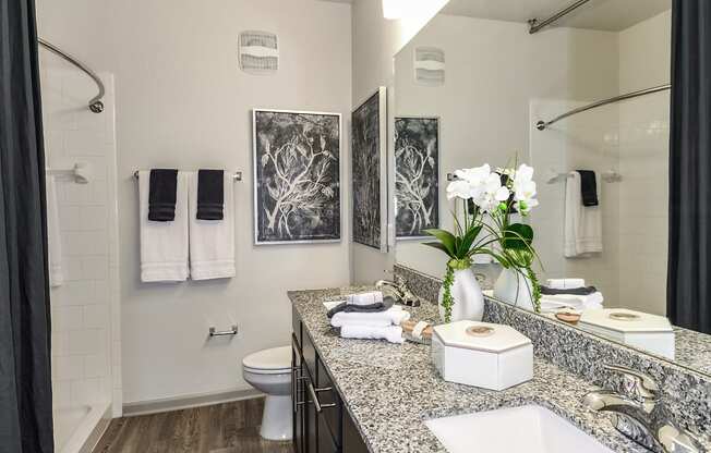 Model Guest Bathroom 2 at  Dunedin Commons Apartment Homes in Dunedin, Florida, FL