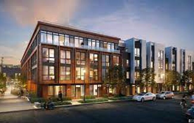 DOGPATCH MODERN LUXURY Jr 1BR 1BA CONDO, ROOF DECK, BBQ, DOG WASH!