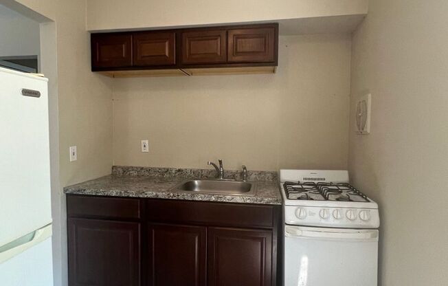 Studio, 1 bath, 450 sqft, $1,450