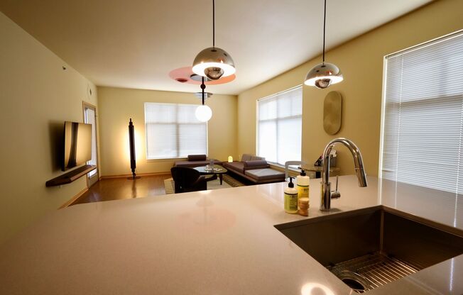 1 bed, 1 bath, 707 sqft, $3,509, Unit Unit 210