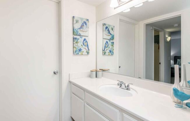 A clean, modern bathroom featuring a white countertop with a sink and faucet. Above the sink, there's a large mirror. On the wall, two blue and white bird-themed artworks are displayed. A door is visible on the left, and small decorative items are arranged on the countertop. Natural light fills the space.